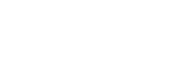 Insight Academy Logo Inverted